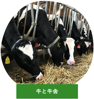 おいしい牛乳なら岩手県岩手郡岩手町のハッピーヒルファーム 岩手 酪農 求人 牛乳